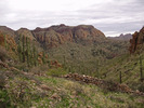 photo thumbnail #6
