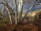 photo thumbnail #6