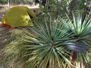 photo thumbnail #7