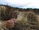 photo thumbnail #11