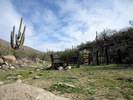 photo thumbnail #4