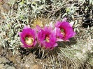 photo thumbnail #9