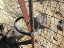 photo thumbnail #4
