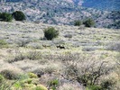 photo thumbnail #11
