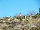 photo thumbnail #13