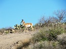 photo thumbnail #14