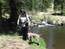 photo thumbnail #15