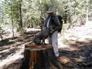 photo thumbnail #5