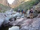 photo thumbnail #4