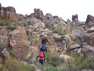 photo thumbnail #5