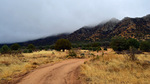 photo thumbnail #5