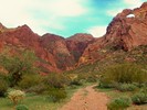 photo thumbnail #4