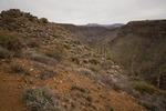 photo thumbnail #2
