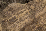 photo thumbnail #8