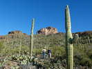 photo thumbnail #7