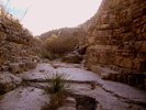 photo thumbnail #13