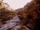 photo thumbnail #14
