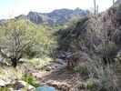 photo thumbnail #3
