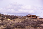 photo thumbnail #13