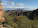 photo thumbnail #2