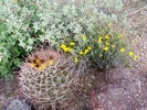 photo thumbnail #6