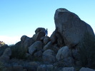 photo thumbnail #8