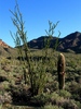 photo thumbnail #7