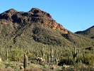 photo thumbnail #8