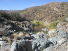 photo thumbnail #8