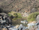 photo thumbnail #9