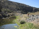 photo thumbnail #10
