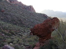 photo thumbnail #4