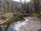 photo thumbnail #15