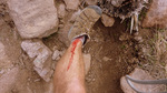 photo thumbnail #6