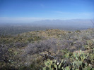 photo thumbnail #11