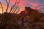 photo thumbnail #2