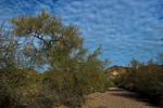 photo thumbnail #9
