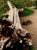 photo thumbnail #10