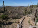 photo thumbnail #7