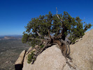 photo thumbnail #7