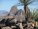 photo thumbnail #5