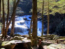 photo thumbnail #11