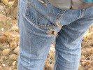 photo thumbnail #3