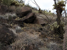 photo thumbnail #4
