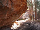 photo thumbnail #3