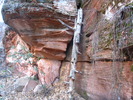 photo thumbnail #6