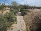 photo thumbnail #13
