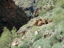 photo thumbnail #9
