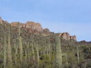 photo thumbnail #1