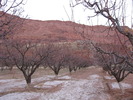 photo thumbnail #9
